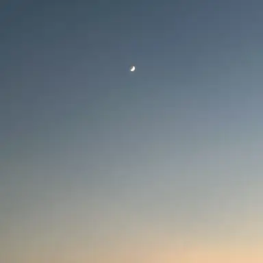 Profile image of 真澄