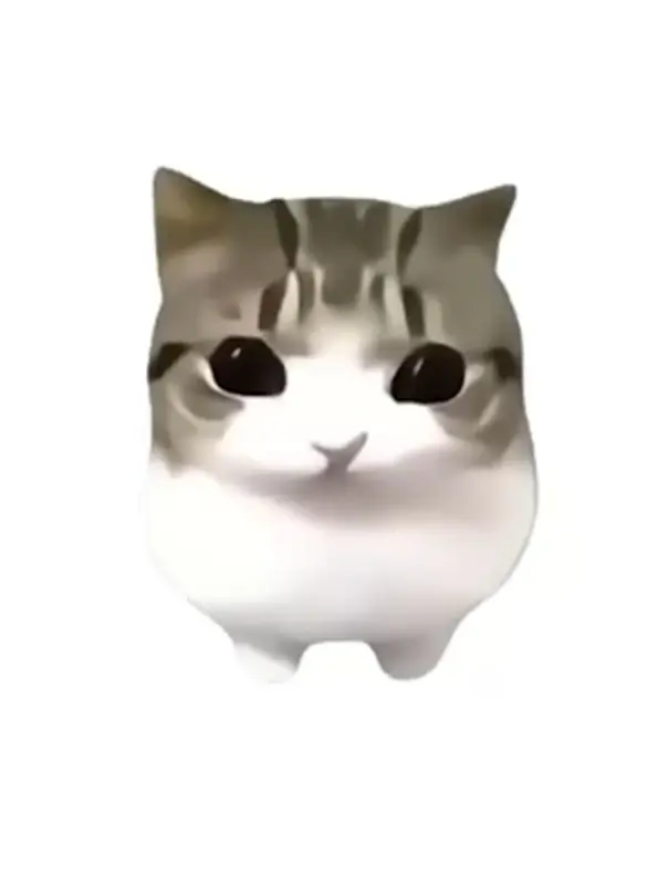 Questiongg의 同居？