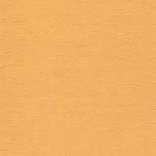 Profile image of 宇佐美時重