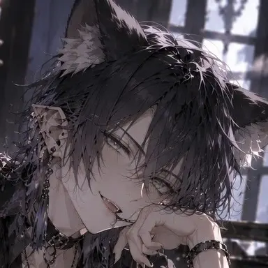 Profile image of Nico