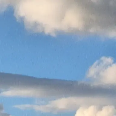 Profile image of 또니경장