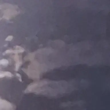 Profile image of 덕개경장