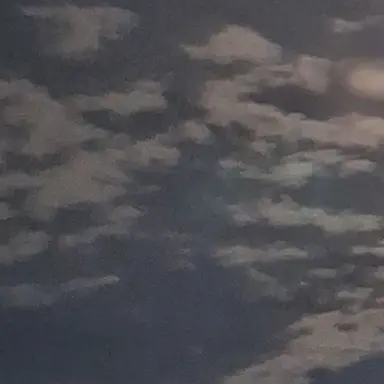 Profile image of 공룡경사