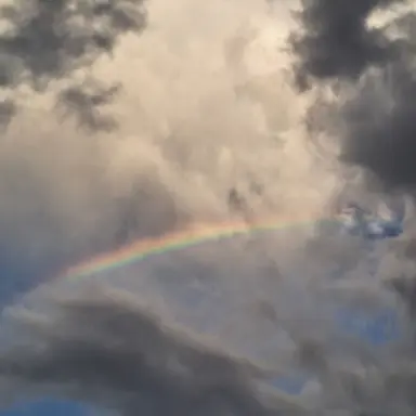 Profile image of 김준엽경장