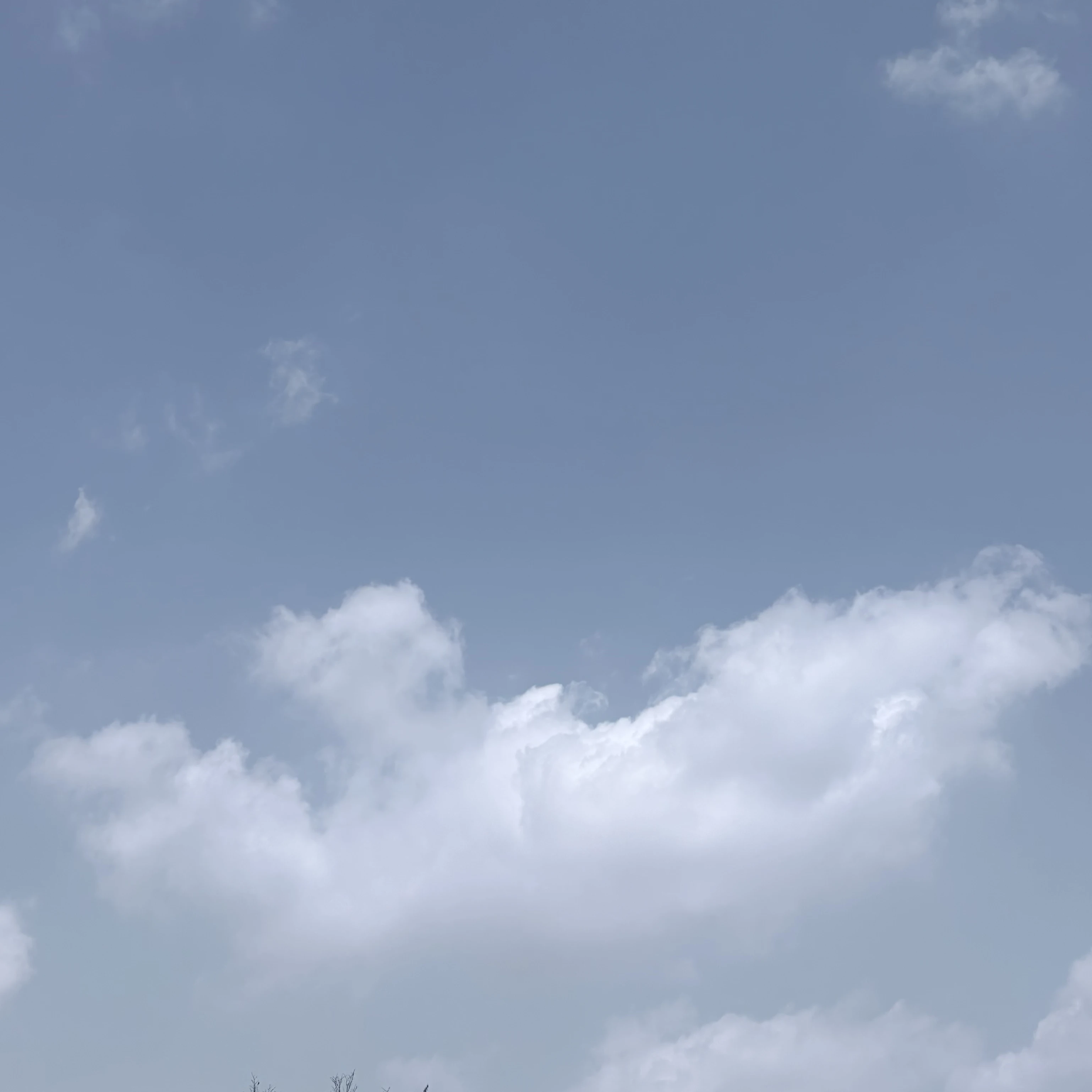 덕개