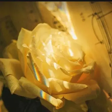 Profile image of 각별