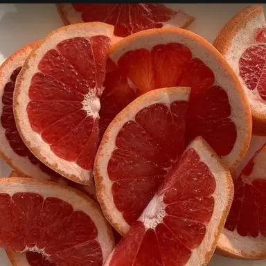 Profile image of 라더