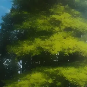 Profile image of りょうちゃん