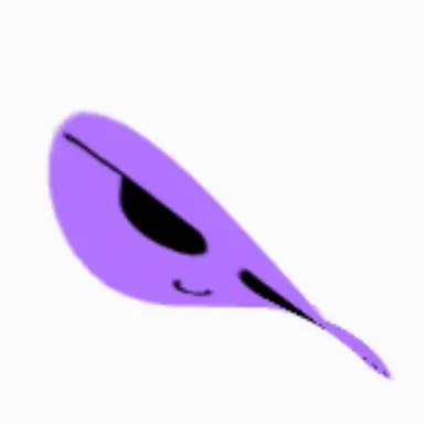 Profile image of 보라