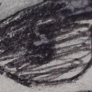 Profile image of 미츠리