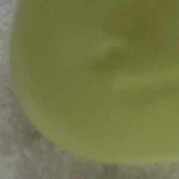 공룡