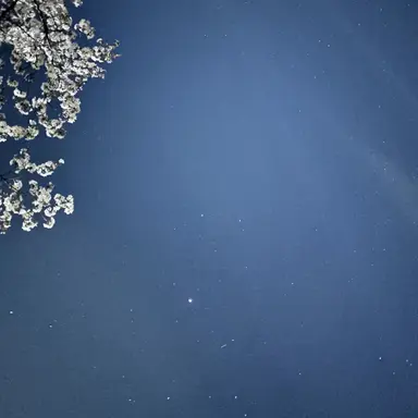 Profile image of 소헤이