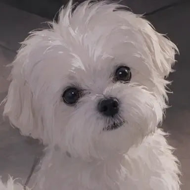 Profile image of 구름