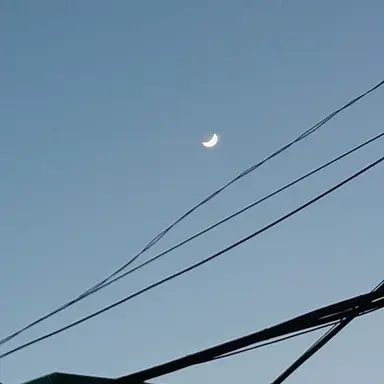 Profile image of 고고프렌즈