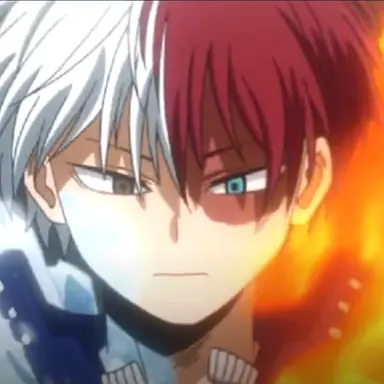Profile image of Todoroki