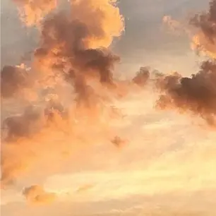 Profile image of 팀나빠고고프랜즈오해