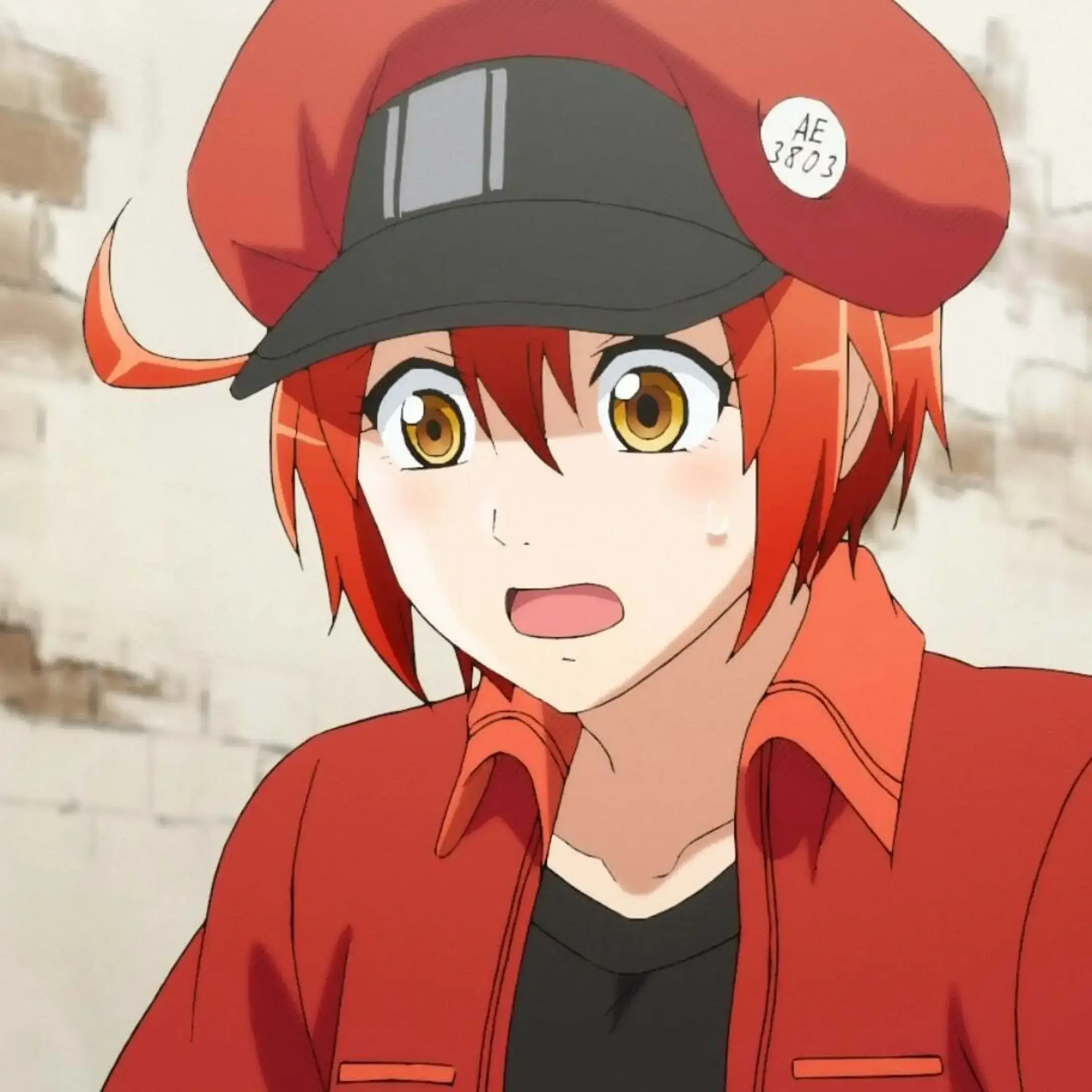 FastFranc1435의 働く細胞×鬼滅（柱）