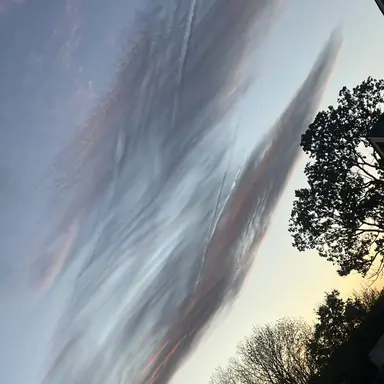 Profile image of Hudson