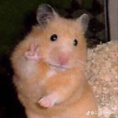 스터