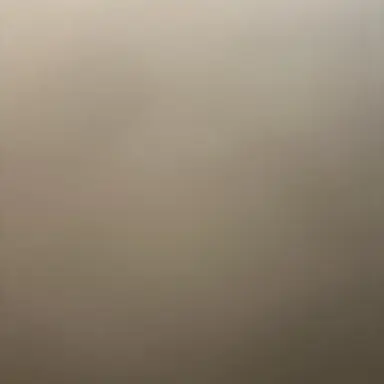 Profile image of 타코