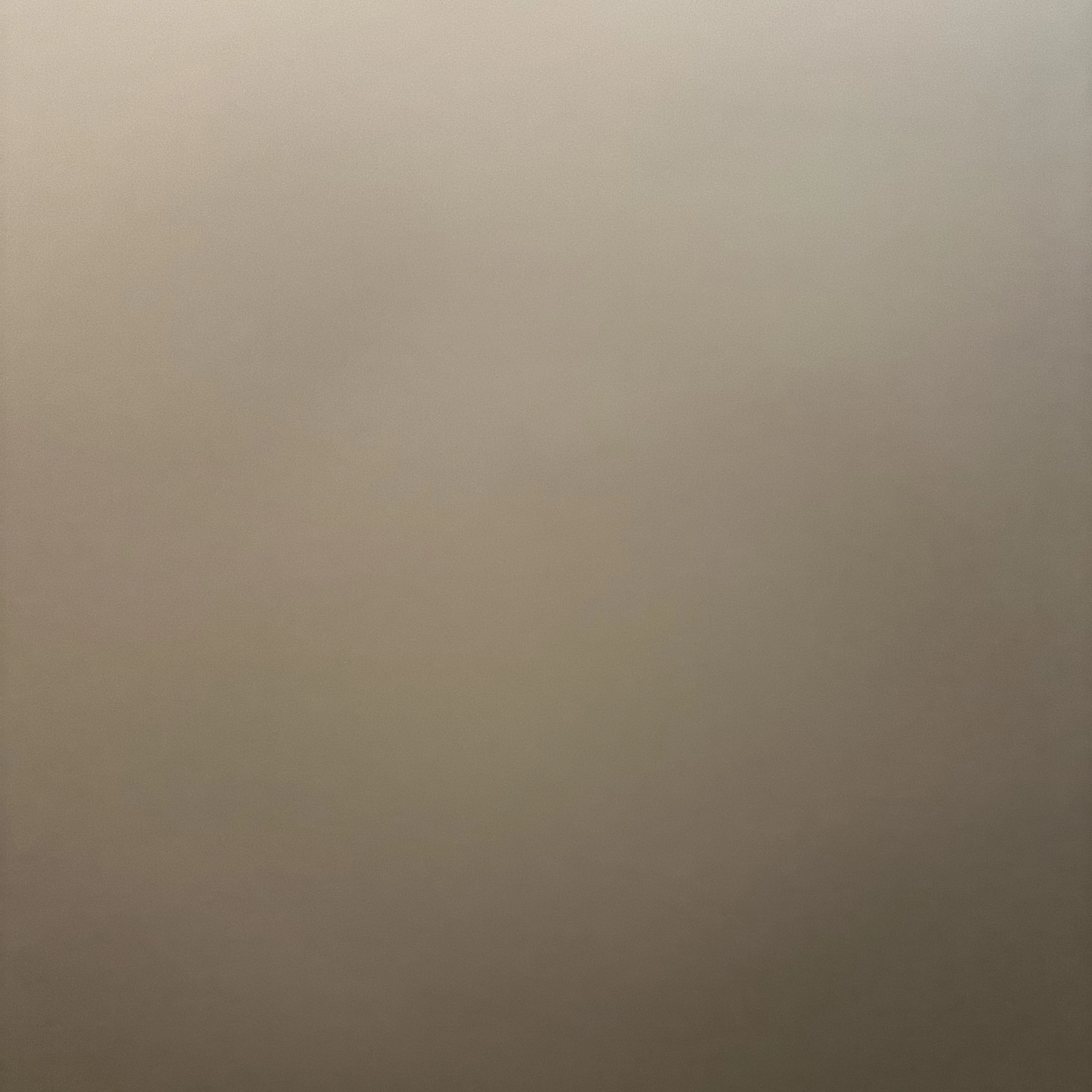 타코