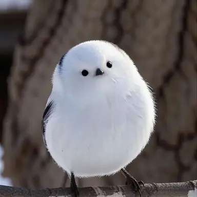 Profile image of 해톨