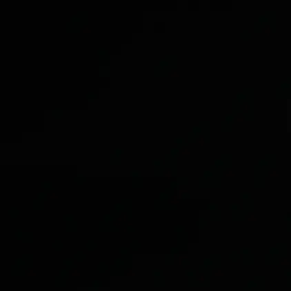 WideTired0342의 구원자
