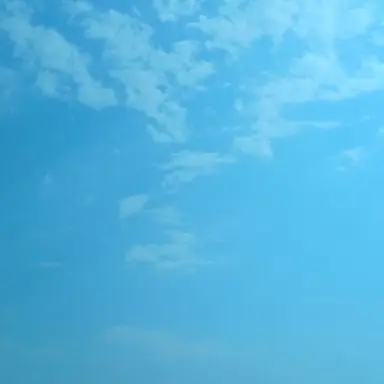 Profile image of 한수연