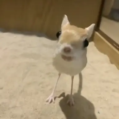 Profile image of 유토