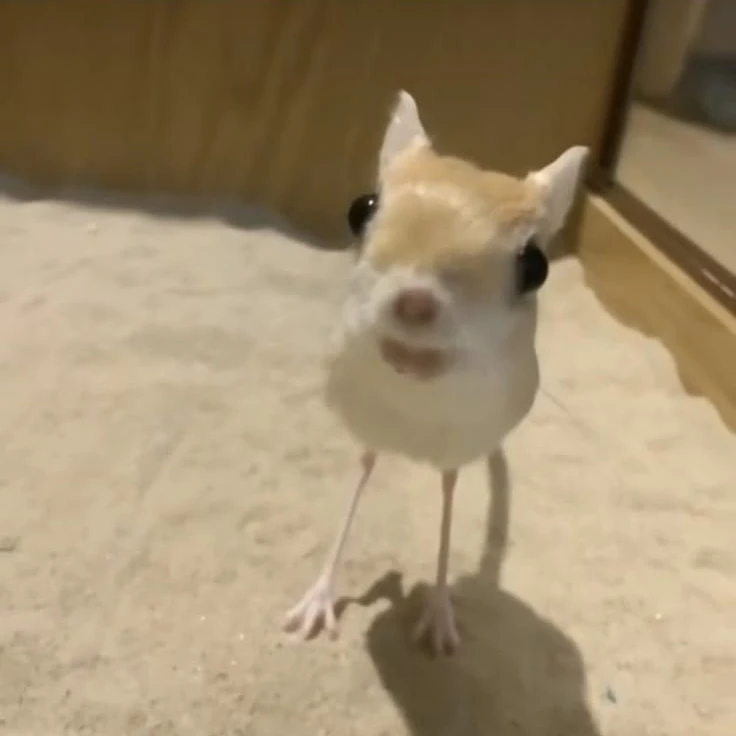 유토