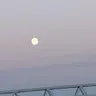 Profile image of 千切豹馬