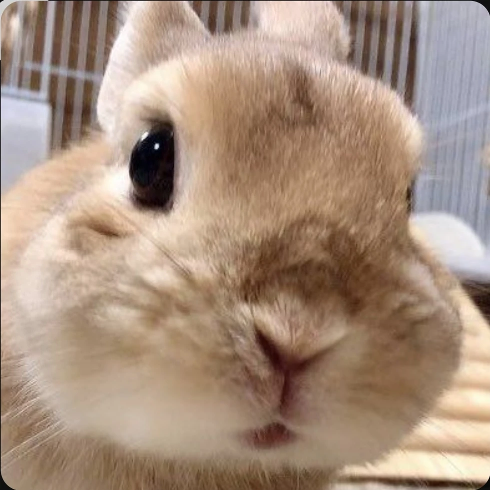 이민호