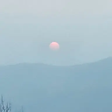 Profile image of 여우