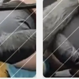 Profile image of 예니