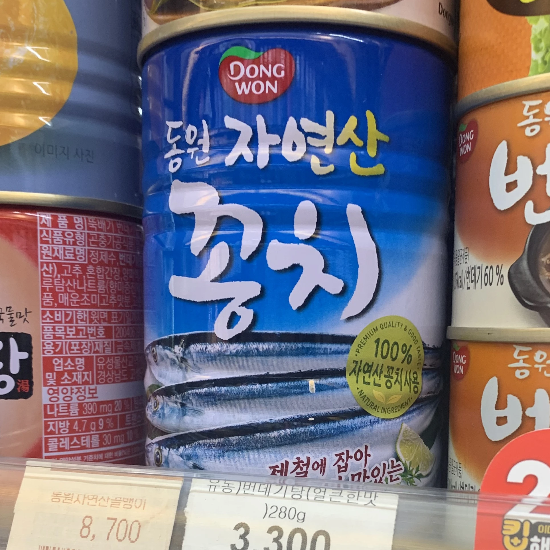 꽁치