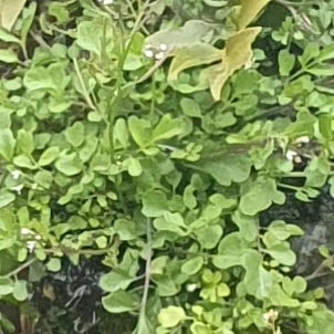 이해준
