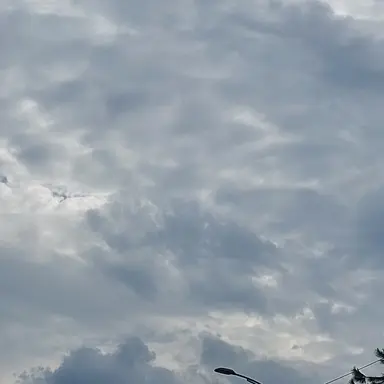 Profile image of 이캬