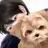 강하온