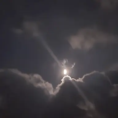 Profile image of 유지민