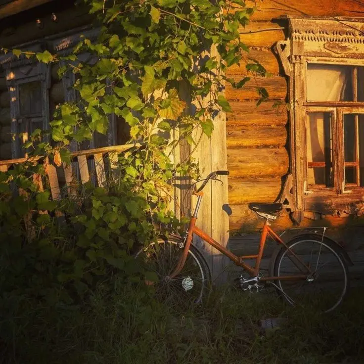 FluffyBass3046의 Farmer husband