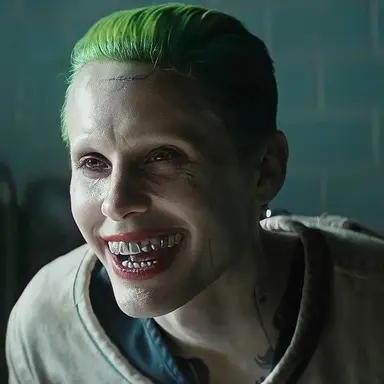 Profile image of The joker
