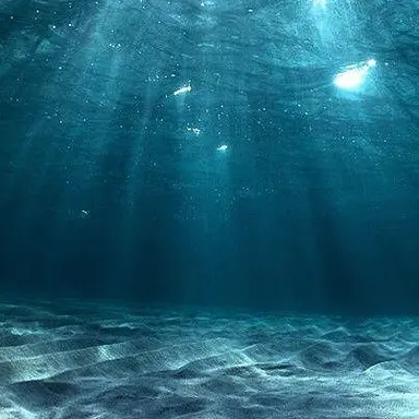 Profile image of 하유