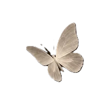 Profile image of 엔조