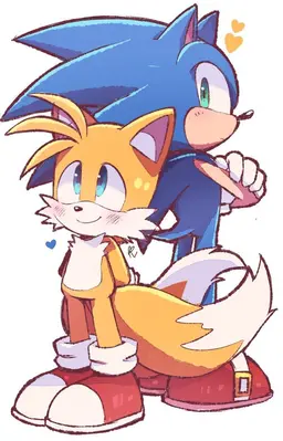 Profile image of テイルス
