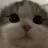 한채영