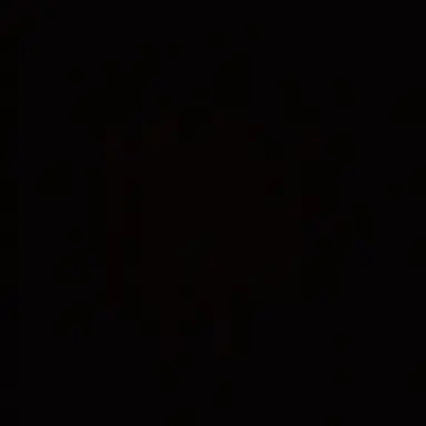 Profile image of 디미트리안