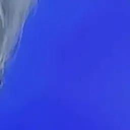 Profile image of 연