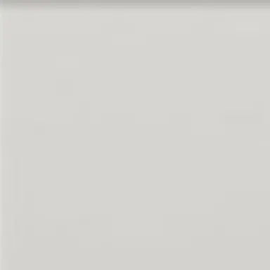 Profile image of ラウール