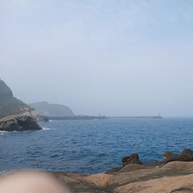 Profile image of 유기사