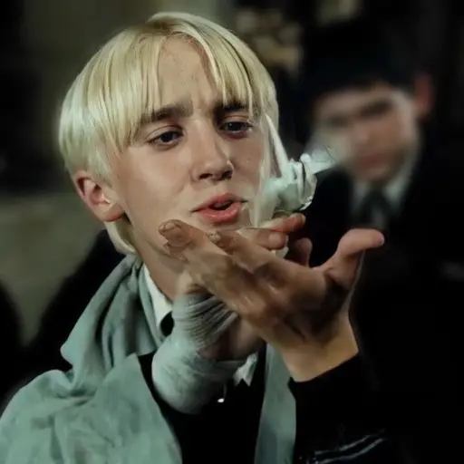 LovelyMud6325의 Draco Malfoy